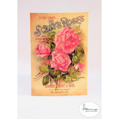 Открытка "Scott's Roses"
